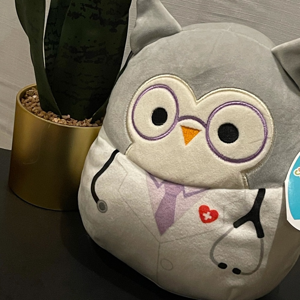NWT 8” Owl Squishmallow
